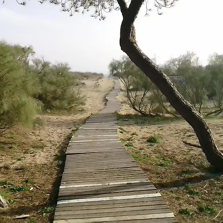 Parque de Campismo Playa Taray Islantilla