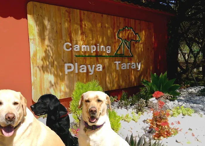 Playa Taray Kemping