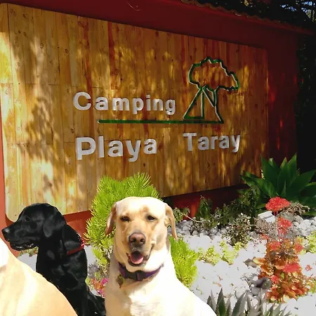 Playa Taray キャンプ場